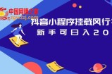 抖音小程序挂载风行视频，新手可日入200+