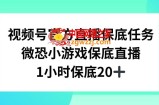 视频号直播任务，微恐小游戏，1小时20+【揭秘】