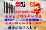 （12786期）小红书，抖音，视频号，快手主流平台全域引流，截流自热引爆私域流量，&amp;#8230;