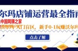 沃尔玛店铺·运营最全指南，挖掘·沃尔玛·入门盲区，新手0-1玩赚沃尔玛