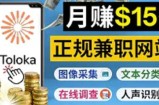 正规网络兼职赚钱平台Toloka，利用业余时间月赚150美元