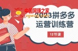 （7805期）2023拼多多运营夏令营：总流量底层思维，完全免费 付费推广游戏玩法（12堂课）