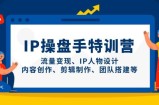 IP流量操盘手线上训练营，流量变现、IP人物设计、内容创作、剪辑、团队搭建等(更新)
