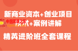 新商业资本+创业项目，技术+案例讲解，精英进阶班全套课程