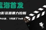 蓝海首发，靠电影资源暴力拉新，一单10块，7月搞了7w8