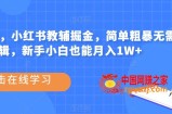 热门蓝海，小红书教辅掘金，简单粗暴无需剪辑，新手小白也能月入1W+【揭秘】