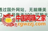 通过国外网站，无脑赚美刀，单号每天300+可放大操作，小白轻松上手【揭秘】