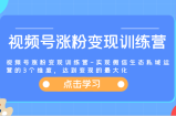 视频号涨粉变现训练营-实现微信生态私域运营的3个维度，达到变现的最大化