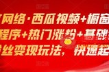西瓜视频+橱窗变现+小程序+热门涨粉+基础课程：零粉丝变现玩法，快速起号等