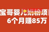 宝哥婴儿奶粉项目，6个月赚85w【图文非视频】【揭秘】