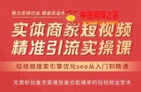 抖音短视频seo搜索排名优化，实体商家短视频，精准引流实操课