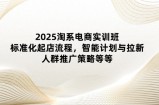 2025淘系电商实训班：标准化起店流程，智能计划与拉新，人群推广策略等等
