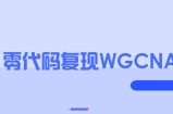 零代码复现WGCNA教程