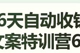 16天自动收钱文案特训营6.0，学会儿每天自动咔咔收钱