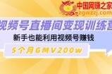 视频号直播间变现训练营：新手也能利用视频号赚钱，5个月GMV200w
