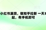 卡小红书漏洞，做知乎拉新 一天3张起，有手机即可