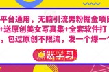 全平台通用，无脑引流男粉掘金项目+送原创美女写真集+全套软件打包，包过原创不限流，发一个爆一个【揭秘】