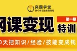 突围学堂:网课变现特训营，0基础，0经验也能把知识变成钱