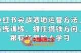 小红书实战落地运营方法，系统训练，抓住搞钱方向，跟有结果的人学习