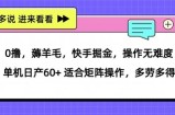 0撸，薅羊毛，快手掘金，操作无难度 单机日产30+ 适合矩阵操作，多劳多得