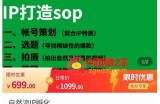 瑶瑶·自然流IP孵化，系统掌握IP孵化全流程，也能学到选题，剪辑，账号运营经验