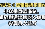 小众垂直蓝海站，源码搬运出售收入爆棚实现月入过万