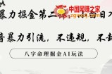 玄学暴力掘金第二弹，小白日入500+，抖音暴力引流，不违规，术封号，八字命理掘金AI玩法【揭秘】