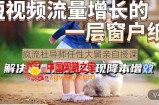 任性大舅·宠物行业短视频运营课(不讲废话)，短视频流量增长的一层窗户纸，解决流量焦虑实现降本增效