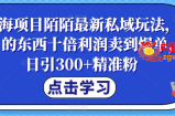 蓝海项目陌陌最新私域玩法，20 的东西十倍利润卖到爆单，日引300+精准粉【揭秘】