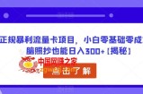正规暴利流量卡项目，小白零基础零成本无脑照抄也能日入300+【揭秘】
