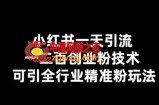 小红书一天引流一二百创业粉技术，可引全行业精准粉玩法【仅揭秘】