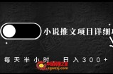 小说推文项目详细攻略，每天半小时，日入300+