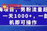 蓝海项目，男粉流量超级猛，一天1000+，一部手机即可操作【揭秘】
