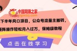 2023下半年风口项目，公众号流量主搬砖，矩阵操作轻松月入过万，保姆级教程
