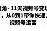 好望角·11天视频号变现训练营，从0到1带你快速入门视频号运营
