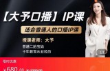 大予口播IP课：新手一部手机就能操作，普通人也能做口播赚钱（10节课时）