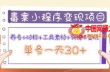 图文案小程序变现项目：养号+对标+工具素材+实操+变现，单号一天30+