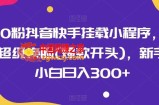 0粉抖音快手挂载小程序，超级换脸(爆款开头)，新手小白日入300+【揭秘】