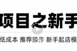 虚拟项目快速起店模式，0成本打造月入几万虚拟店铺！