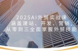 2025AI外贸实战课：涵盖建站、开发、营销, 从零到三全面掌握外贸技能
