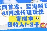 全网首发，蓝海项目，AI网站代理玩法，零成本日收入1-3千+【揭秘】