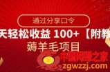 薅羊毛项目，靠分享口令，一天轻松收益100+【附教程】【揭秘】