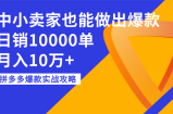 拼多多爆款实战攻略：中小卖家也能做出爆款，日销10000单，月入10万+