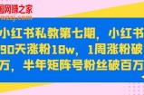 小红书私教第七期，小红书90天涨粉18w，1周涨粉破万，半年矩阵号粉丝破百万