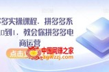 拼多多实操课程，拼多多系统从0到1，教会你拼多多电商运营
