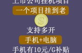 正规挂机项目，支持手机电脑一起挂，支持虚拟机多开，可以挂到老