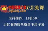 小红书无双课一天引50+女粉，不用做视频发视频，小白也很容易上手拿到结果【仅揭秘】