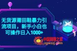 2023无货源莆田鞋暴力引流项目，新手小白也可实操日入1000+【揭秘】