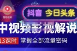 嚴如意·中视频影视解说—掌握流量密码，自媒体运营创收，批量运营账号