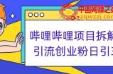 哔哩哔哩项目拆解引流创业粉日引300+小白可轻松上手【揭秘】